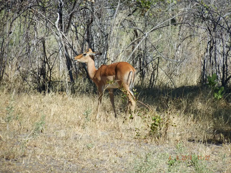 DSCF9890.JPG