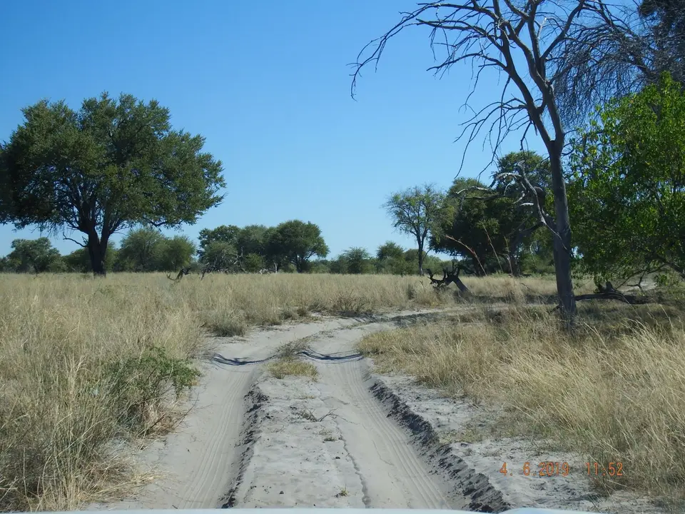 DSCF9909.JPG