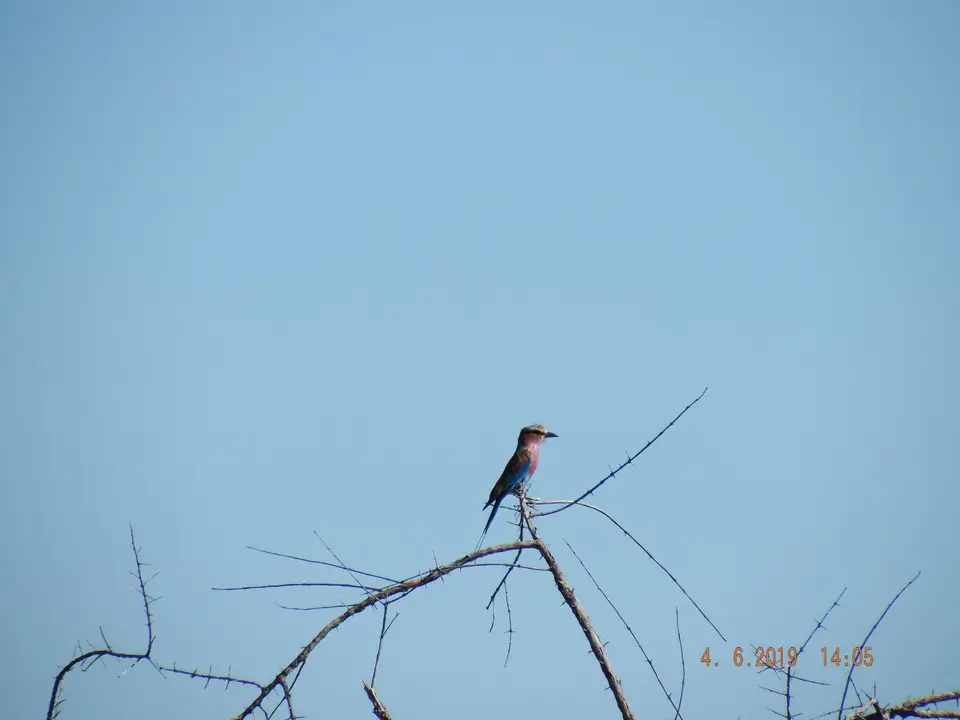 DSCF9912.JPG