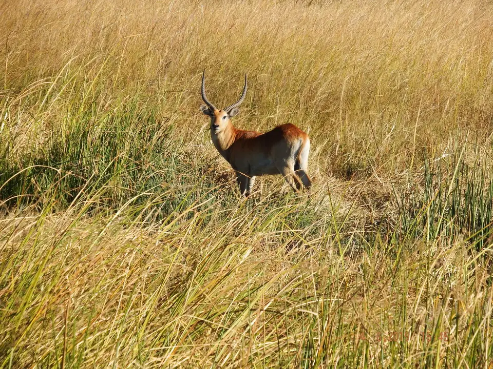 DSCF9945.JPG