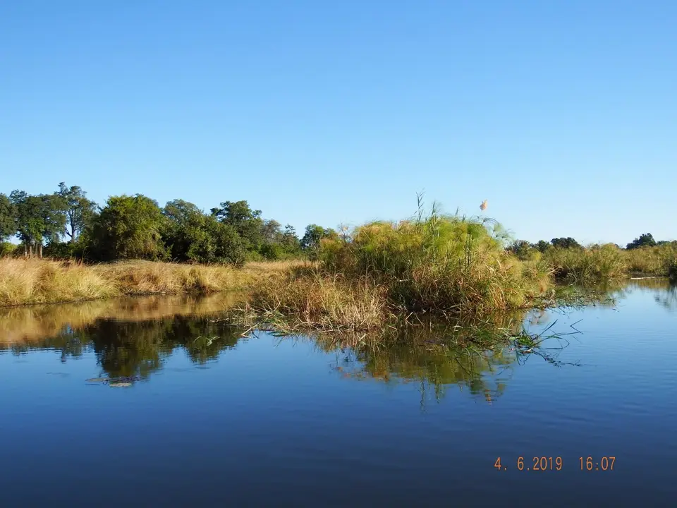 DSCF9959.JPG