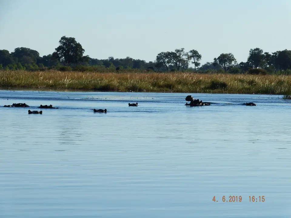 DSCF9973.JPG