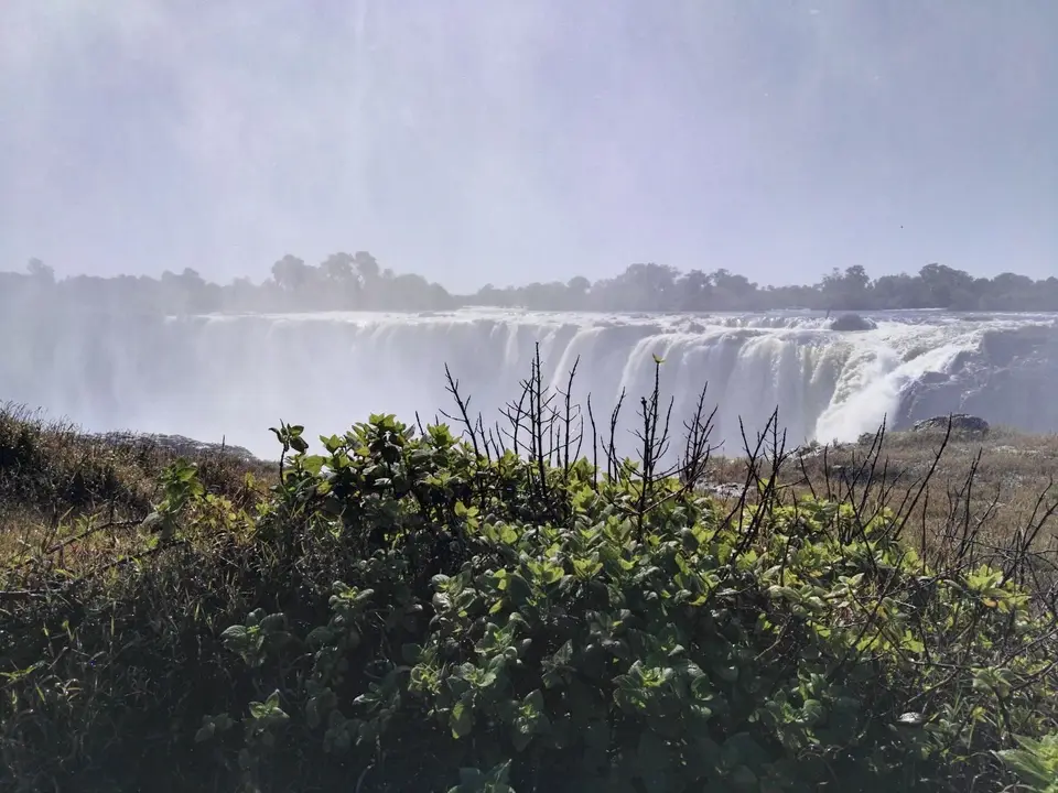 IMG_20190607_133848.jpg