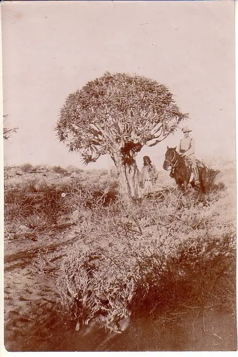 h43229dc.jpg