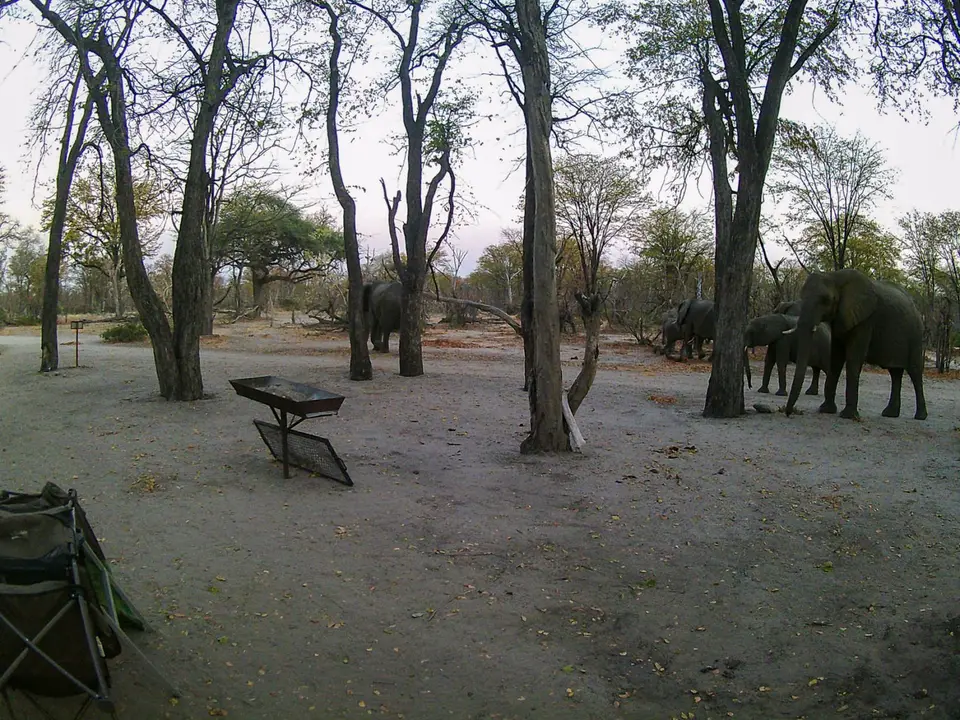 2019-09_afrika-0416.jpg