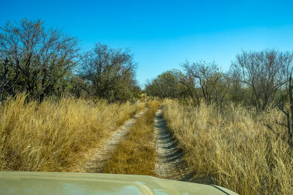 2019-09_afrika-0647-b.jpg