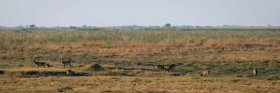 2019-09_afrika-0753.jpg