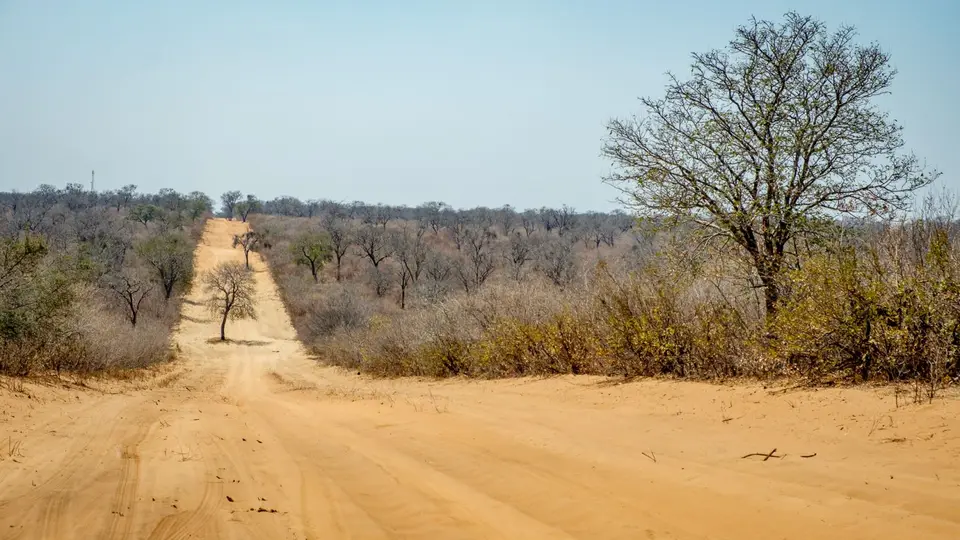 2019-09_afrika-0775.jpg