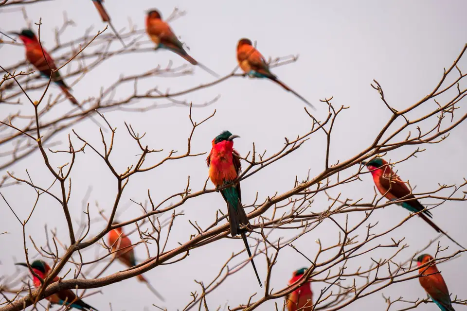 2019-09_afrika-1014-b.jpg