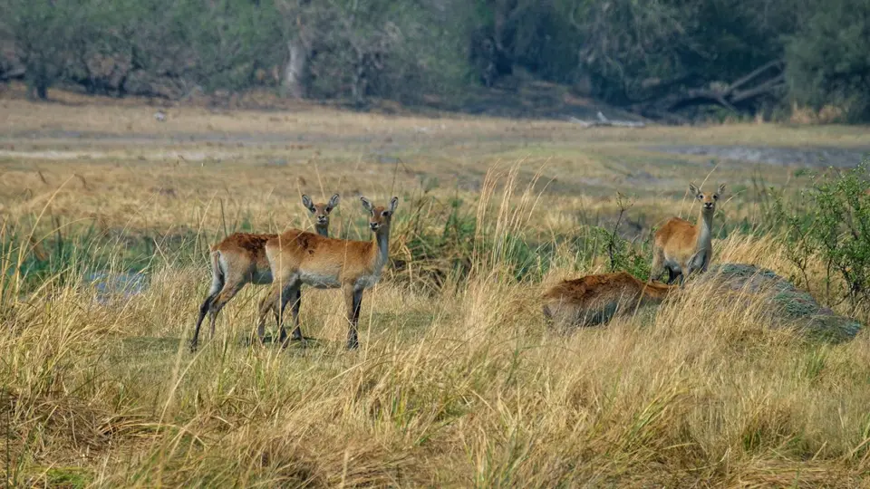 2019-09_afrika-1101.jpg