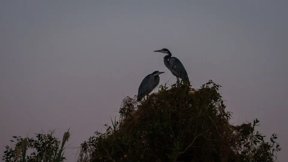 2019-09_afrika-1222.jpg