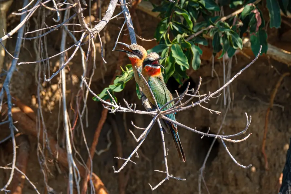 2019-09_afrika-1452-2.jpg