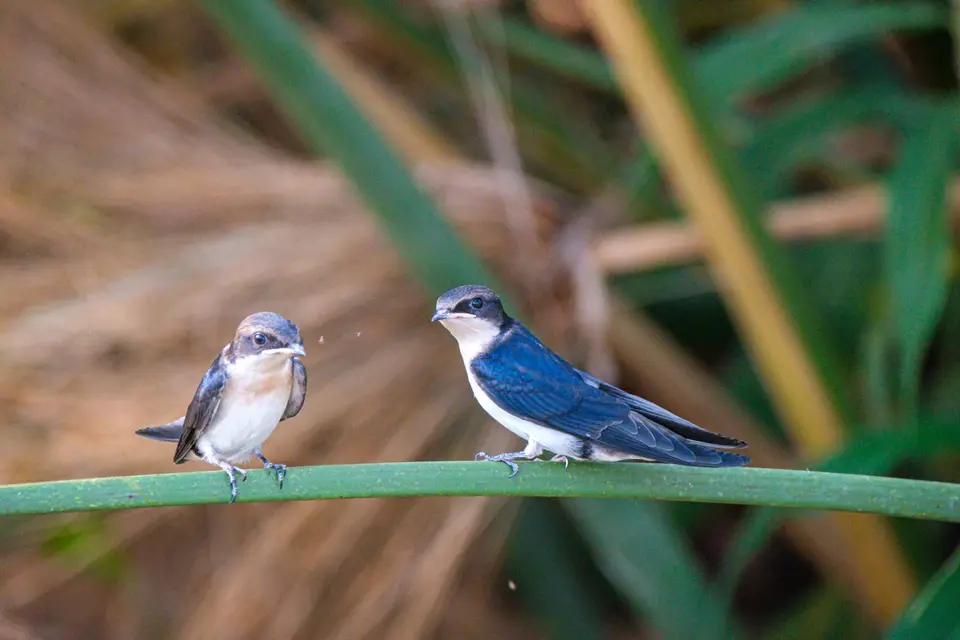 2019-09_afrika-1535-2.jpg