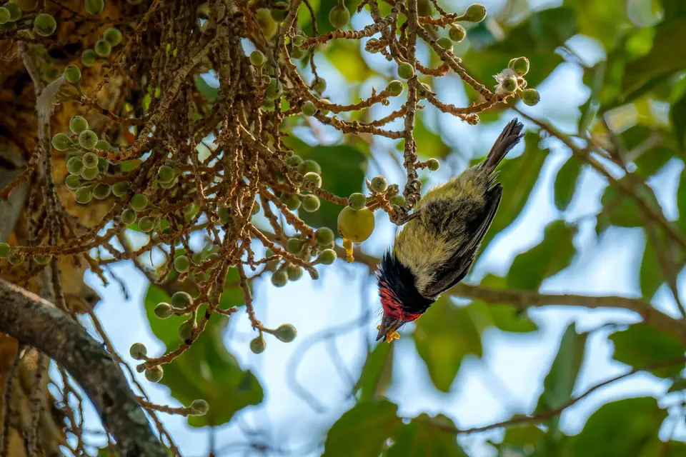 2019-09_afrika-1607-b.jpg