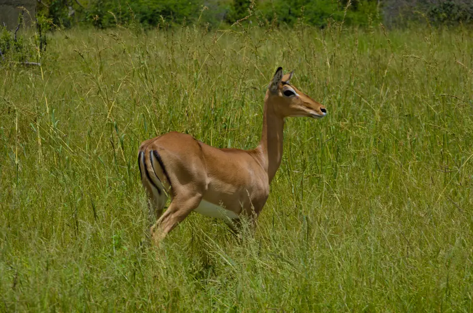 IMGP5258.jpg