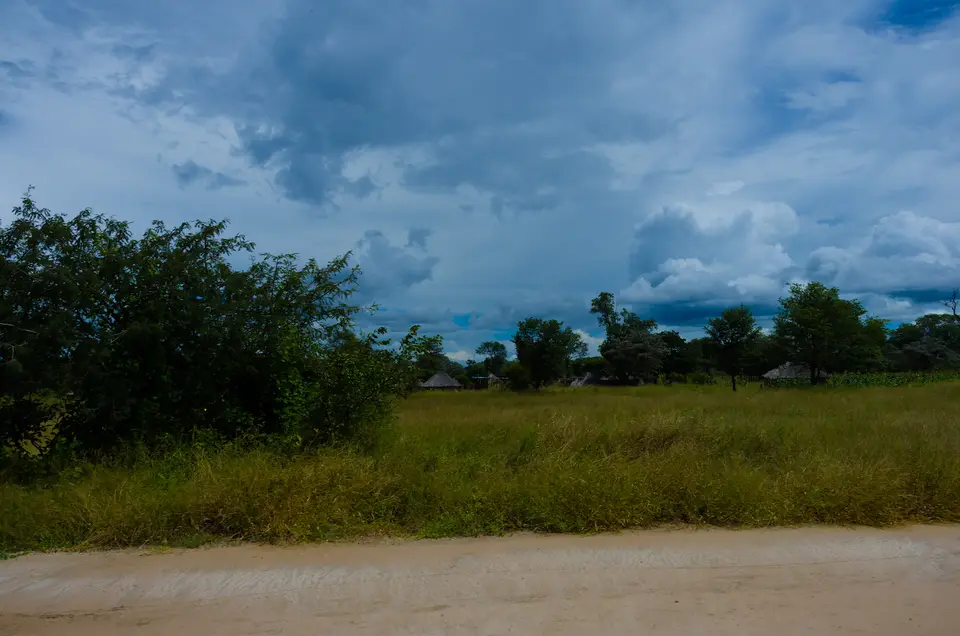 IMGP5534.jpg