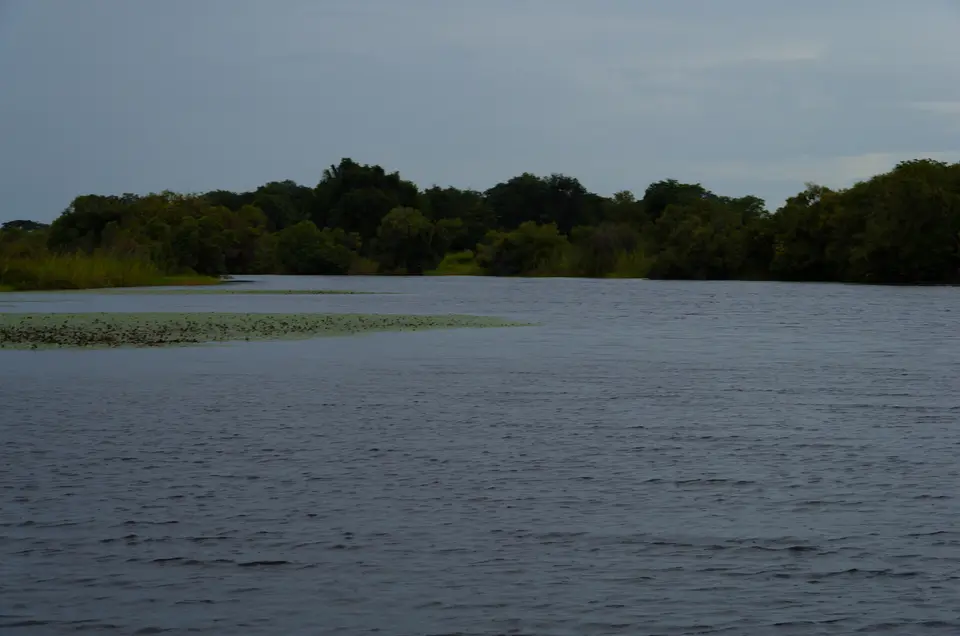 IMGP5550.jpg