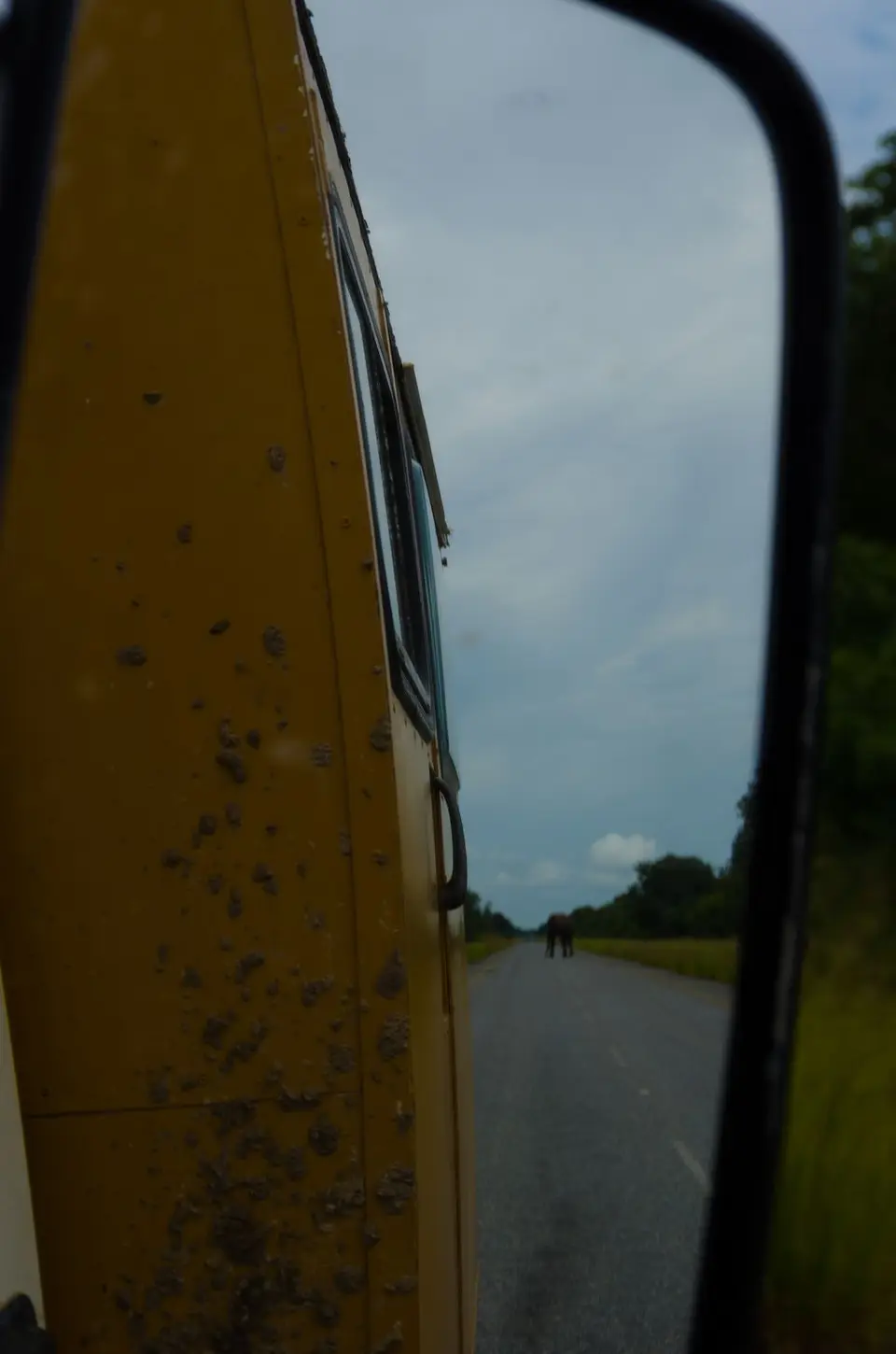 IMGP5641.jpg