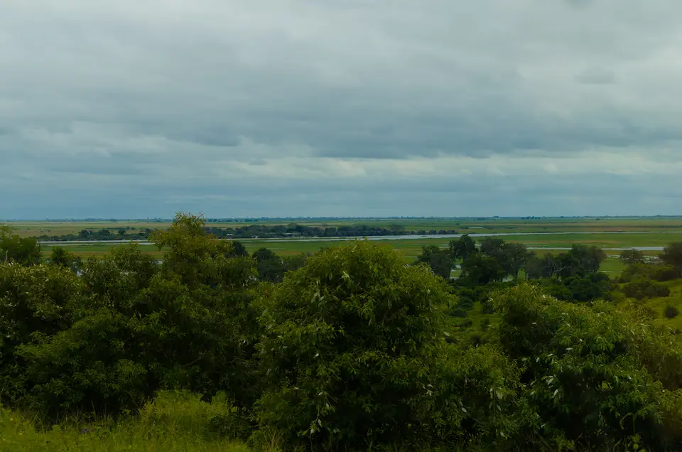IMGP6195.jpg