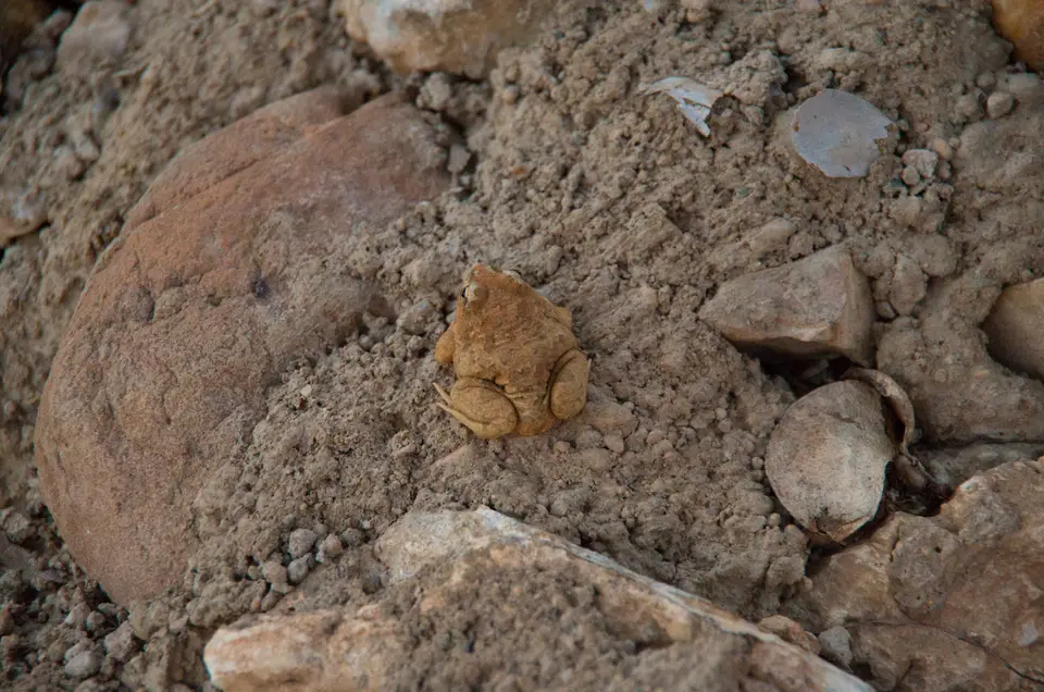 IMGP6770.jpg