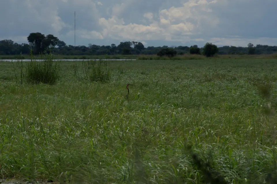 IMGP9457.jpg