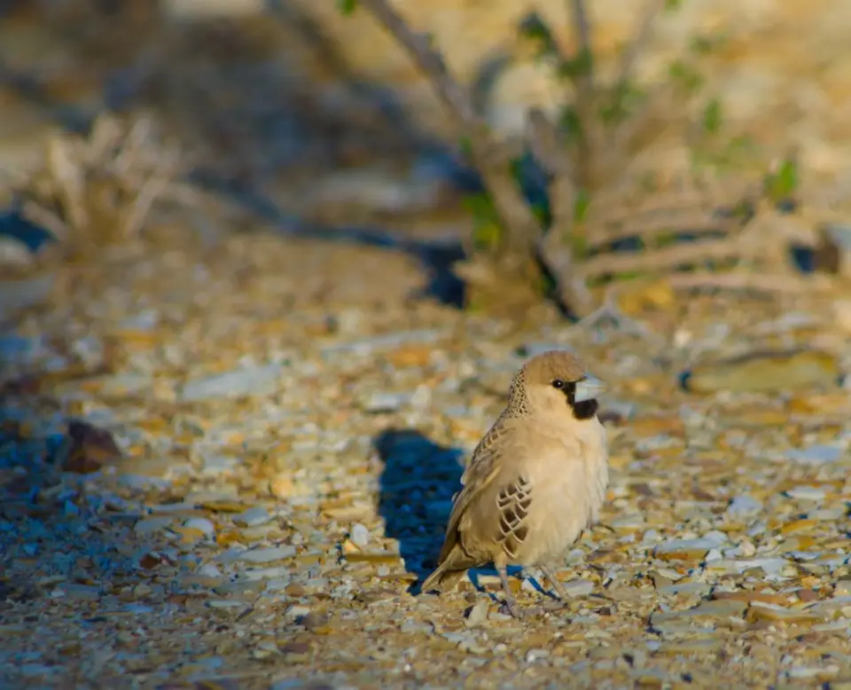 h584891b.jpg