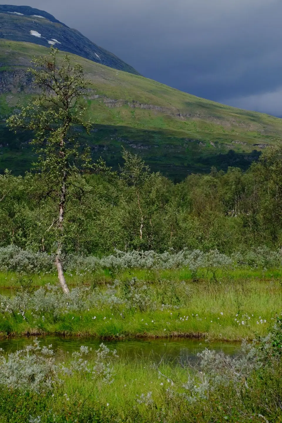 Lappland_0183.jpg