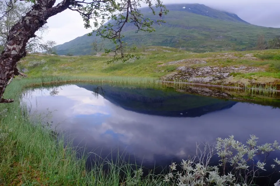 Lappland_0258.jpg