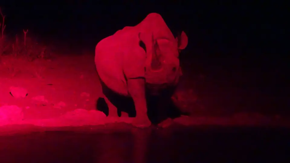 20160924_203716.JPG
