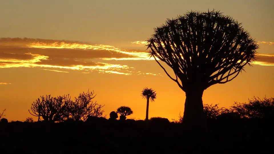 20190414_183408-2.JPG