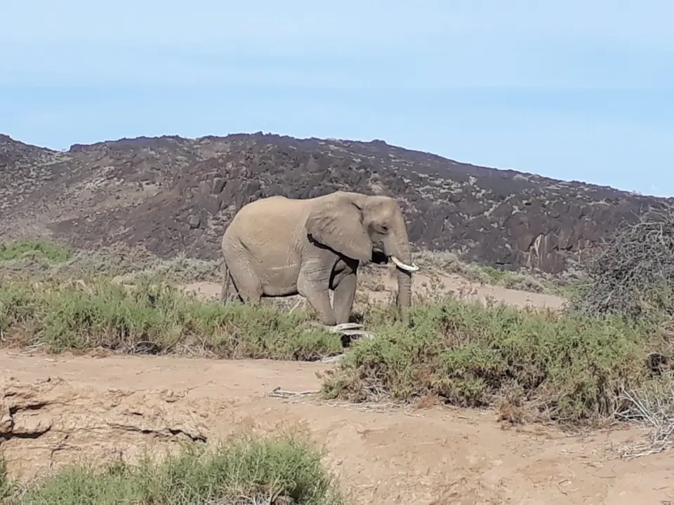20180326_172700(1024x768).jpg