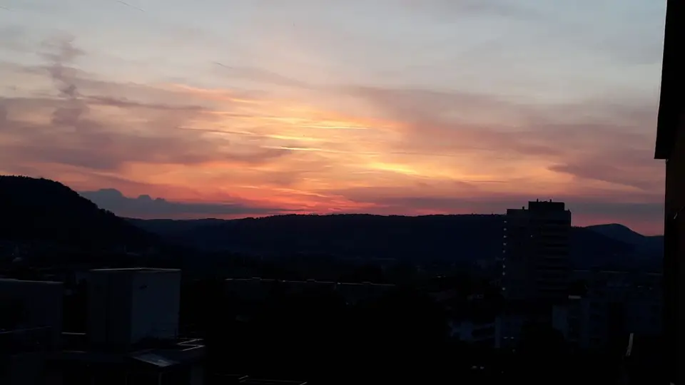 20210913_195059.jpg