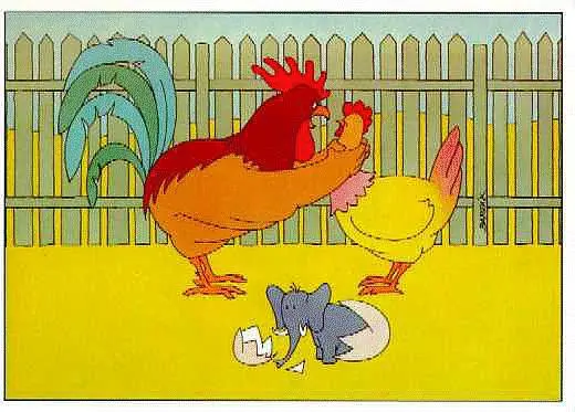 ANIMAL07.JPG