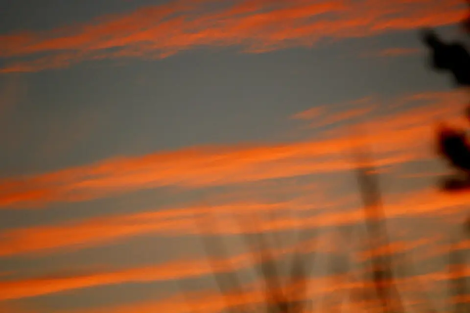 _MG_7940.JPG
