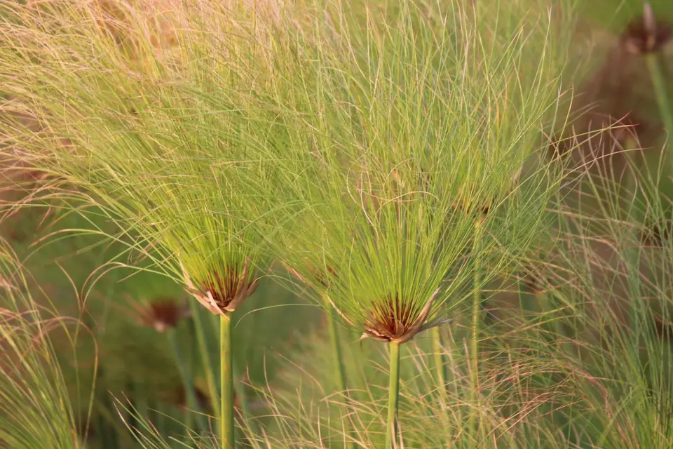 h3f6914a.JPG