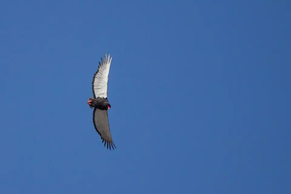 h1ef7f47.jpg