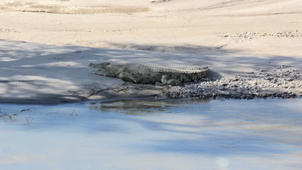 IMG_1601.jpg