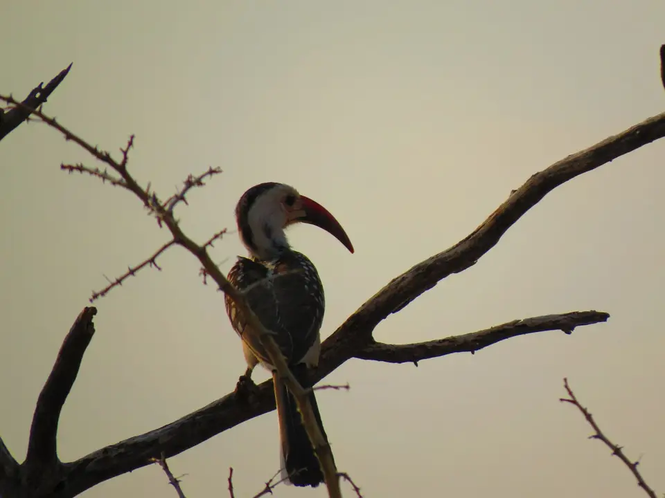 IMG_9342.JPG