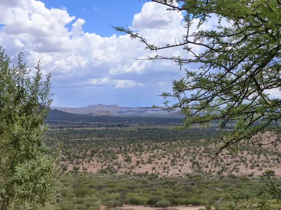 h1507972.JPG