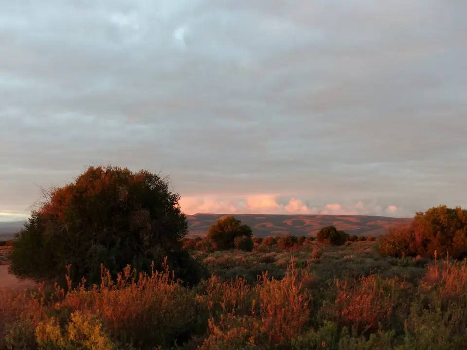 h1c02163.jpg