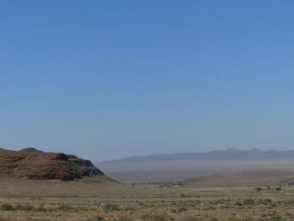 h2008611.JPG
