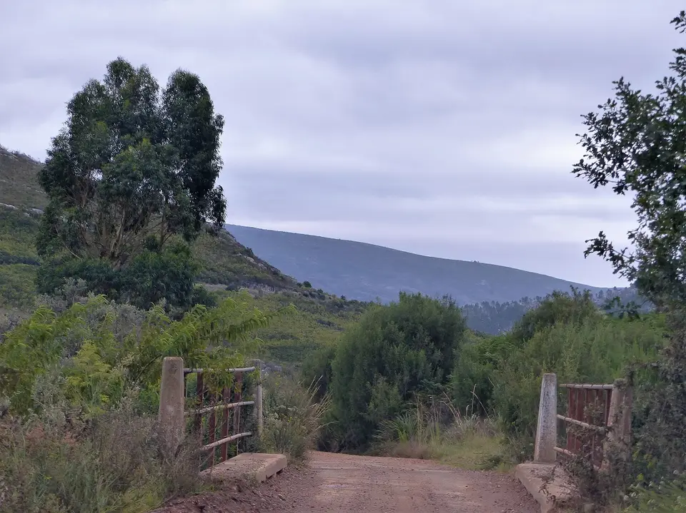 h243653e.jpg