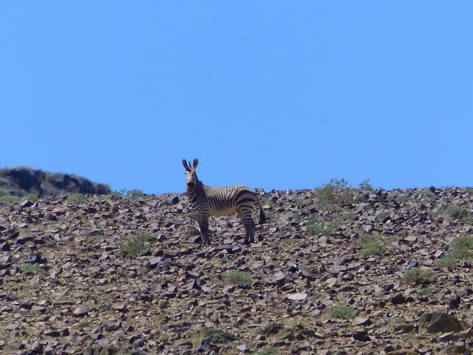 h4046517.JPG