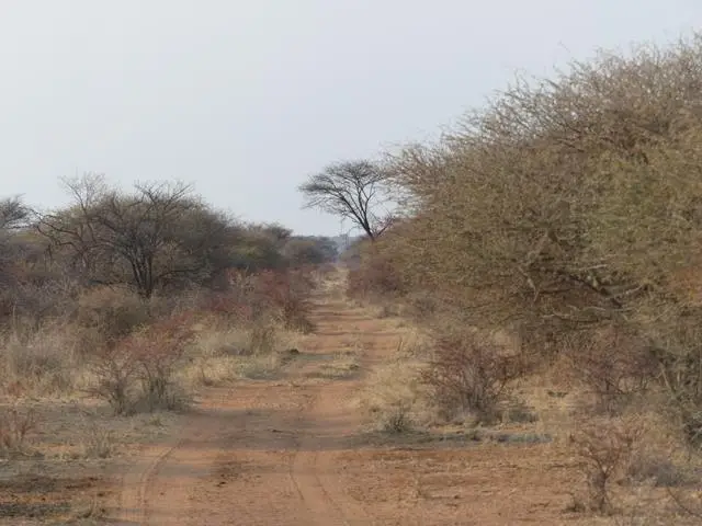 h45be030.JPG