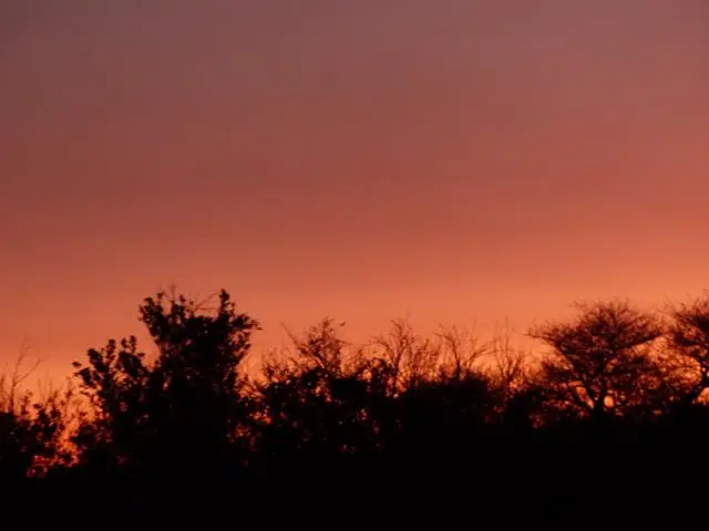 h4663c53.JPG