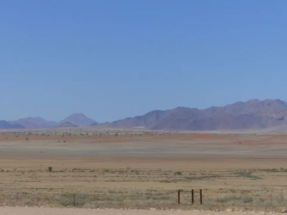 h665631a.JPG