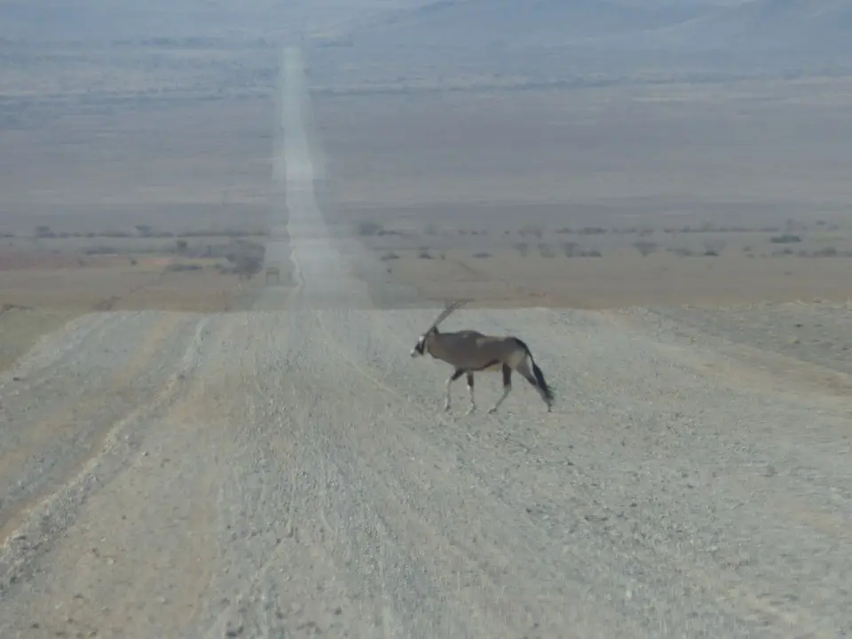 h67b618f.JPG