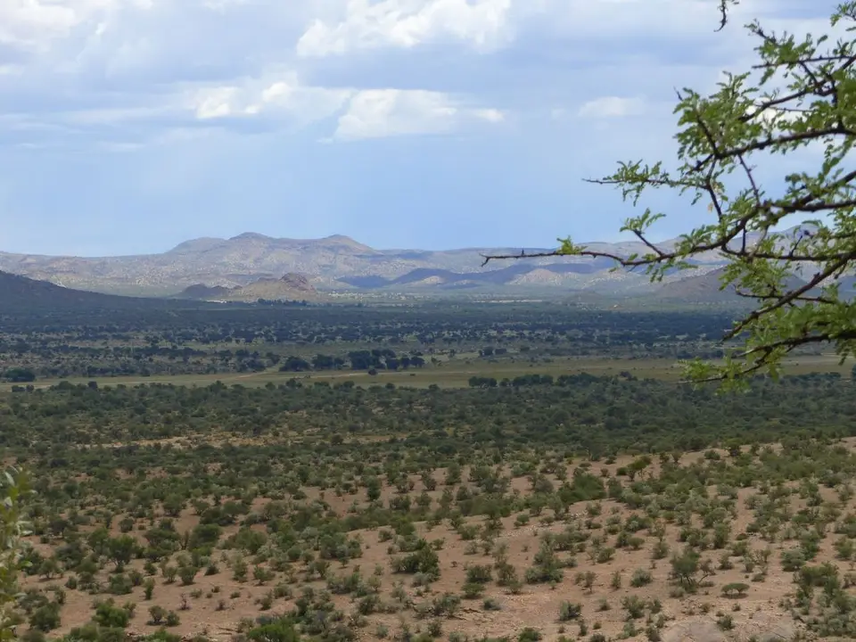 h79000f6.JPG