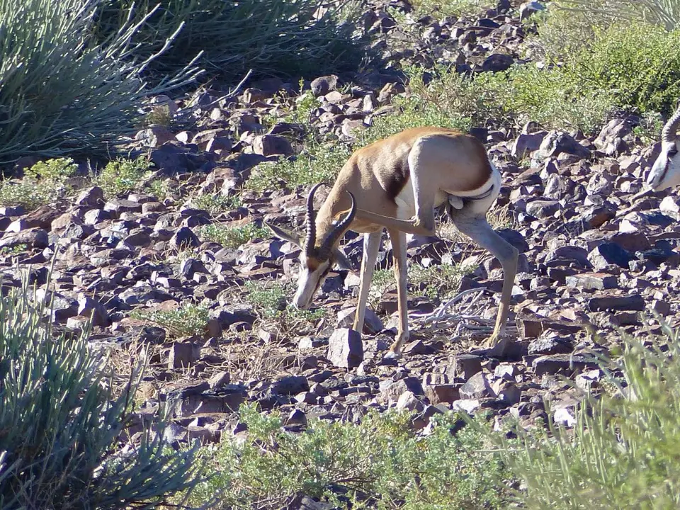 h9b39784.JPG