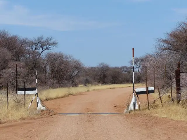 hd1306df.JPG